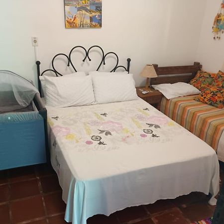 Casa No Morro - Charme Em Meio A Natureza Pertinho Da Praia 3 Dormitorios Sao Sebastiao  Εξωτερικό φωτογραφία